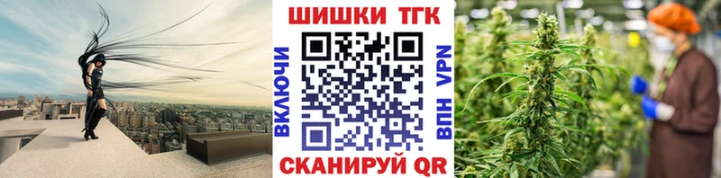 Бошки марихуана план  Пустошка 